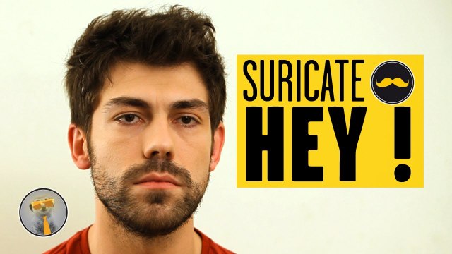 SURICATE - Hey !