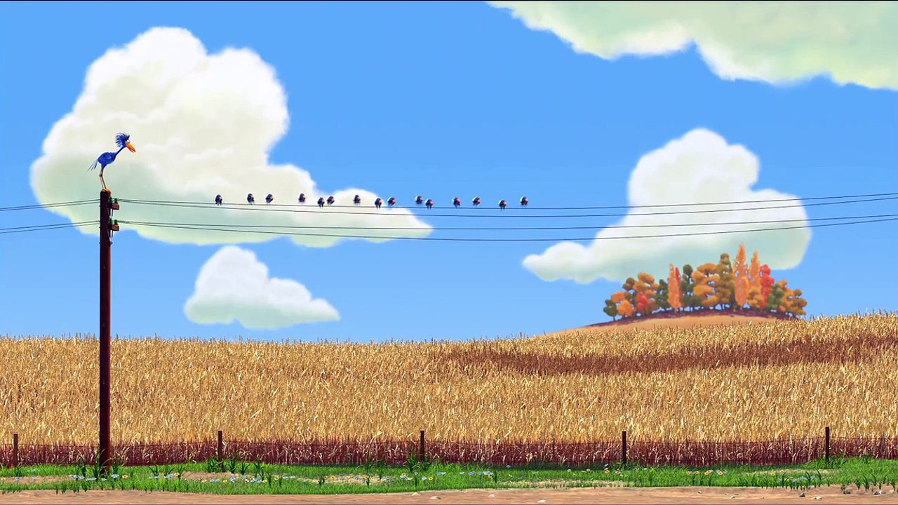 For the birds