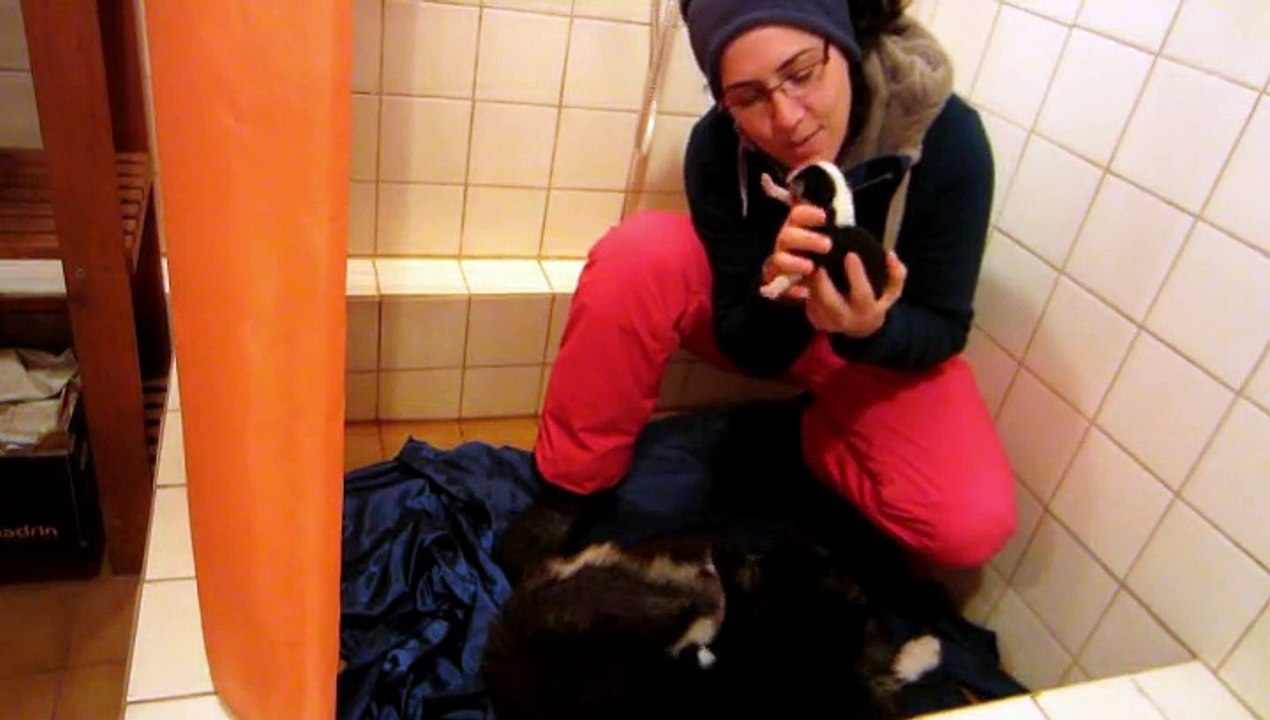 Surprise dans la douche
