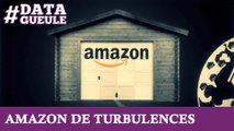 Amazon de turbulences #DATAGUEULE 13