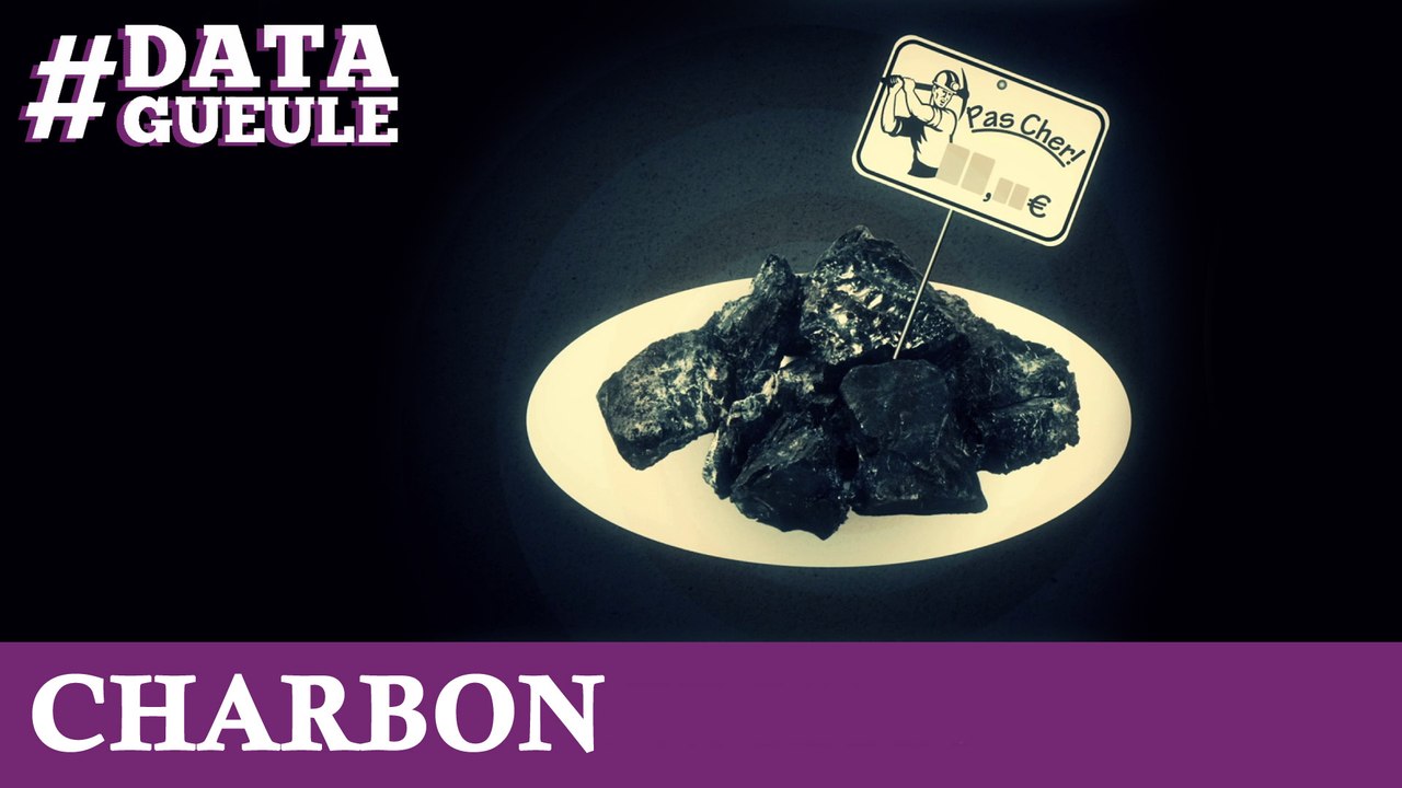 Charbon : le fossile qui a de beaux restes #DATAGUEULE 16