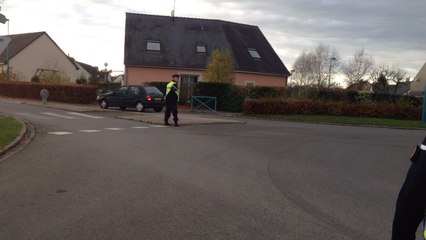 Gipsy, la chienne des stups