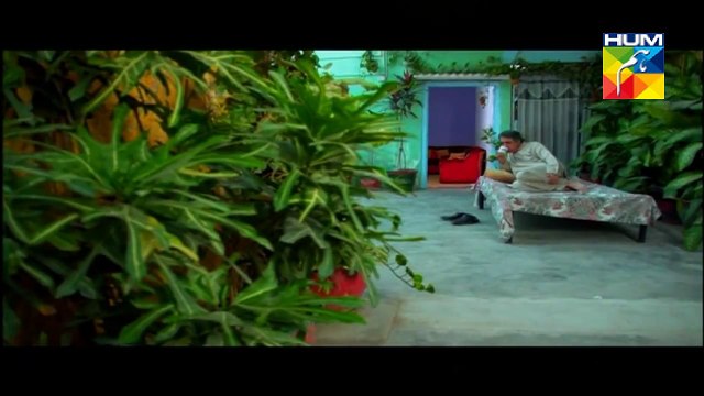 Agar Tum Na Hotay Drama Episode 65 Full on HUM TV in Hight Quality 25 November 2014