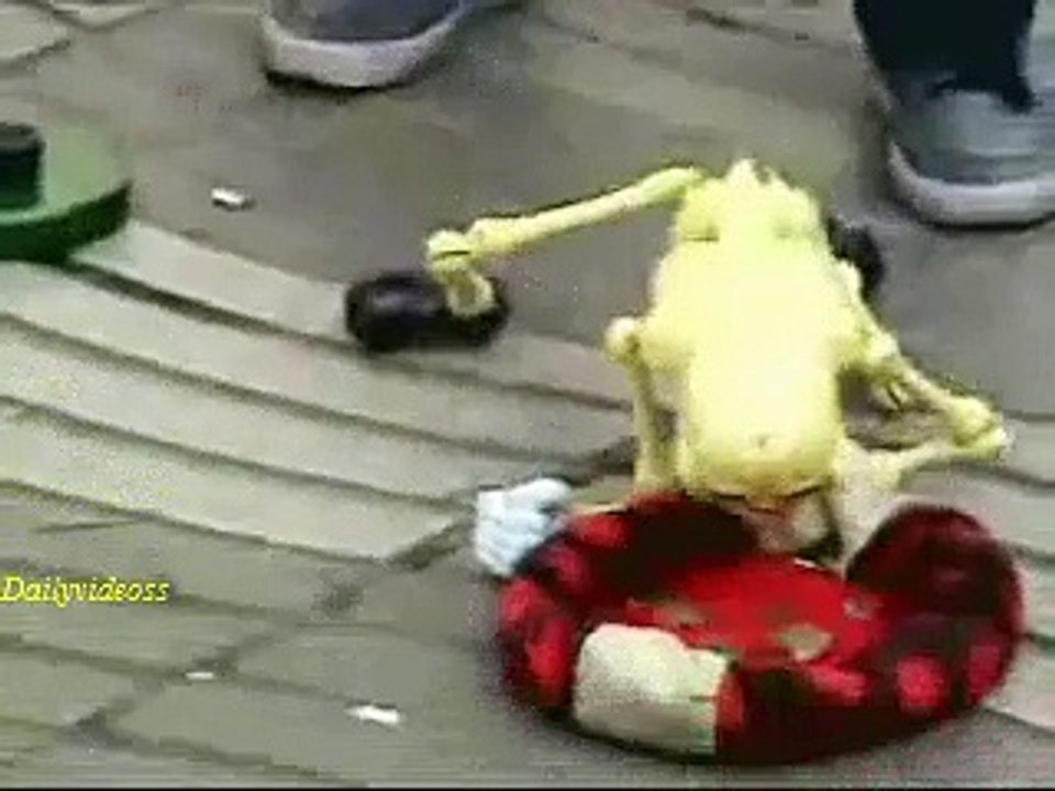 Funny video Ever