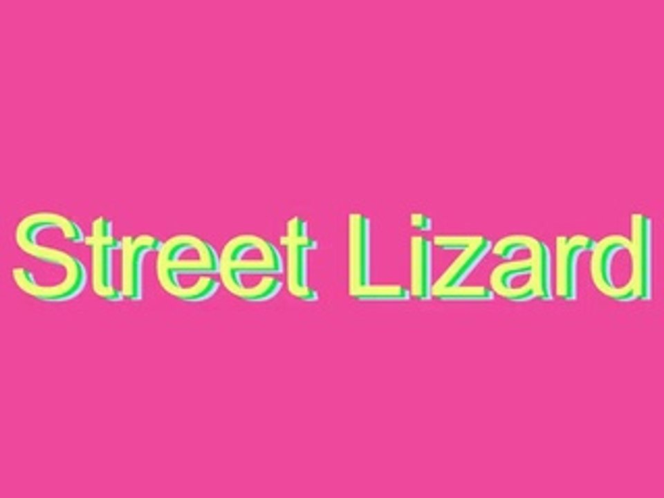 How to Pronounce Street Lizard