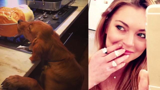 Beyonce, Justin Bieber, Kendall & Kylie Jenner, Lindsay Lohan & More: How Celebs Spent Thanksgiving on Instagram