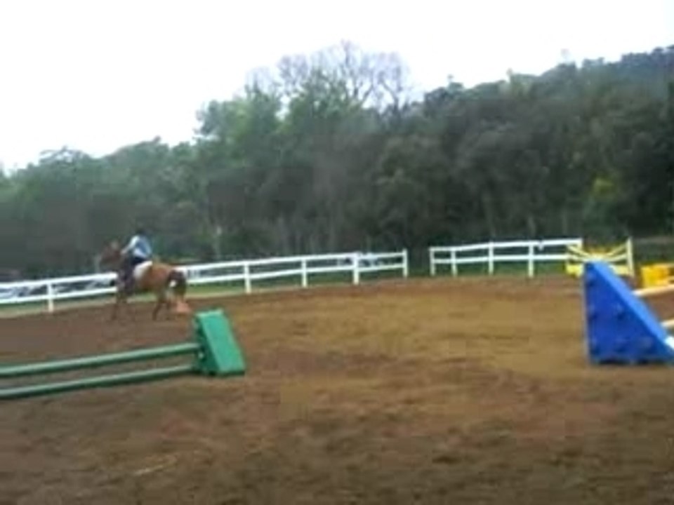 salsa_cso