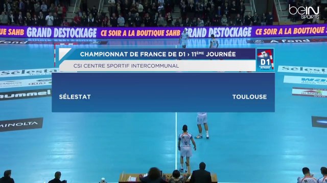 LNH D1 2014-2015 J11 SELESTAT TOULOUSE