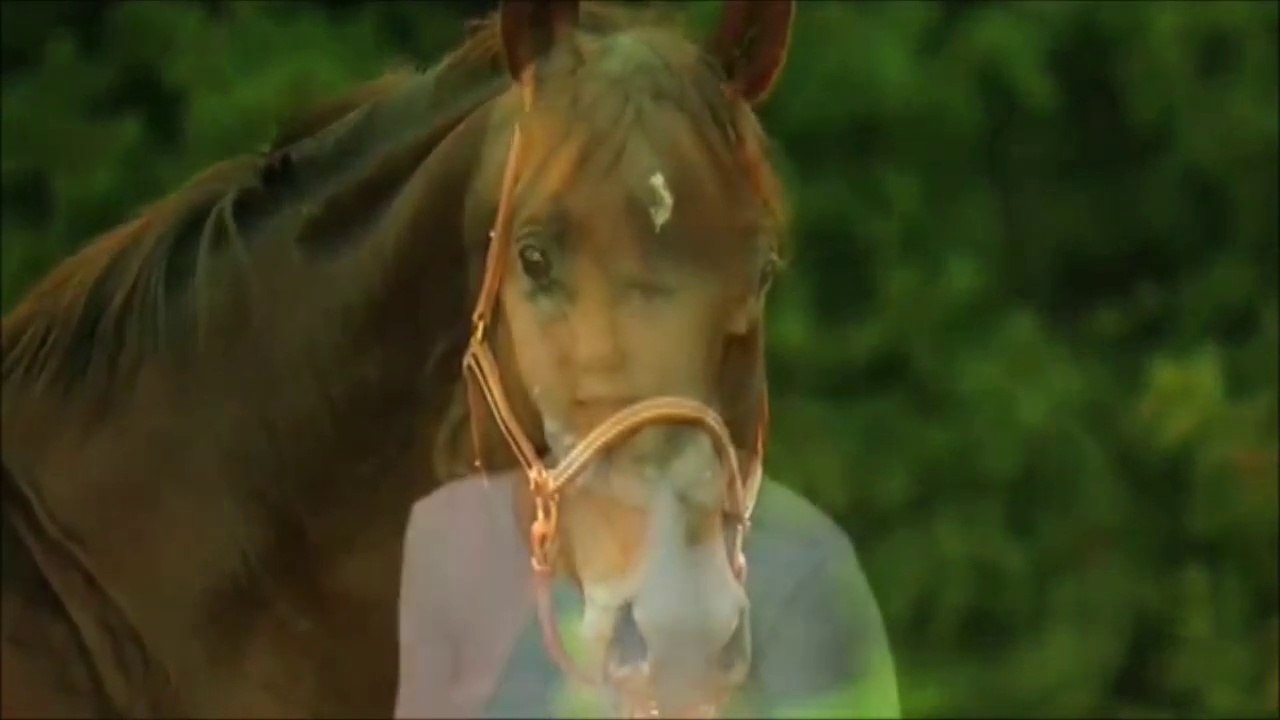 Cheval - Конь