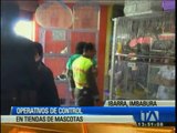 Realizan operativo de control en tiendas de mascotas