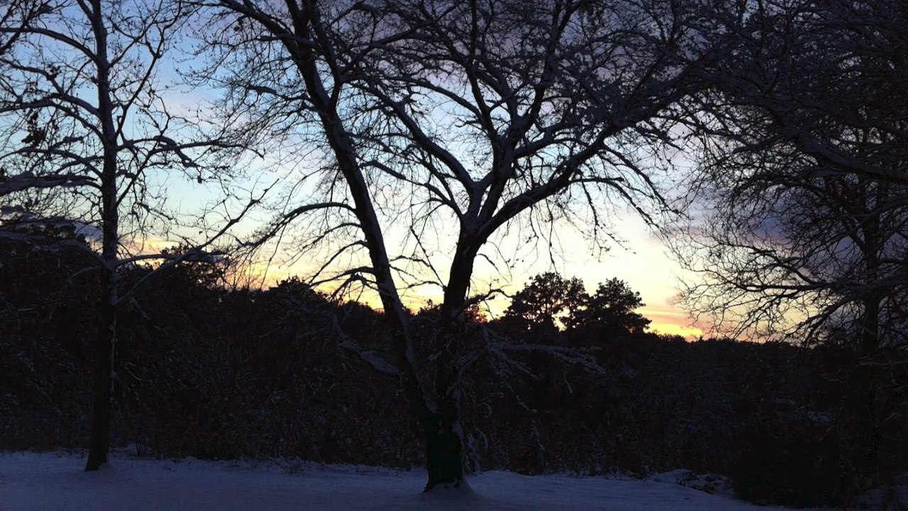 Silent Night Jazz Tenor Saxophone