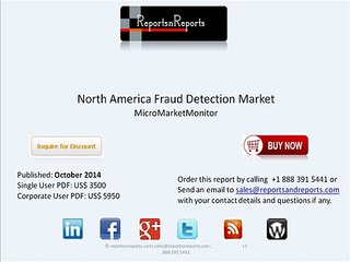 North American Fraud Detection Industry Growth, Insights & Competitive Analysis