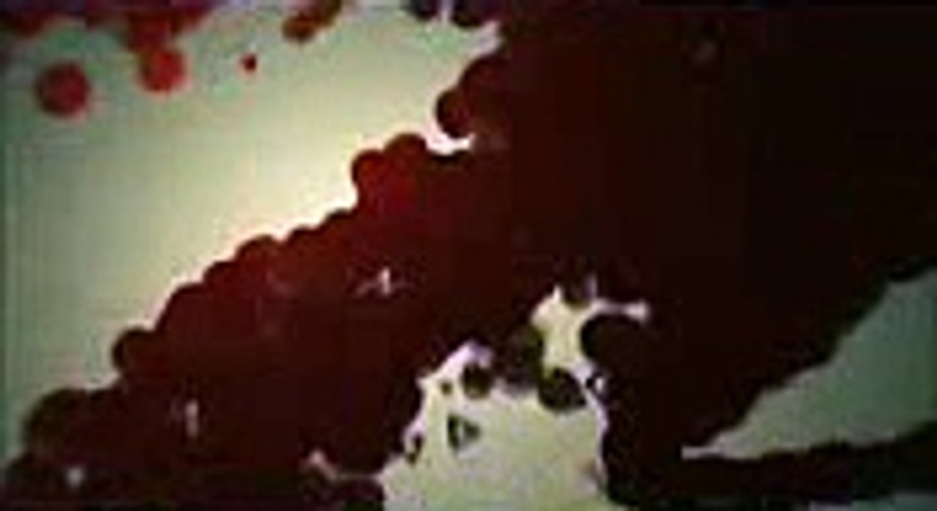 Download sound forge pro 11 v.11.0.272 crack updated