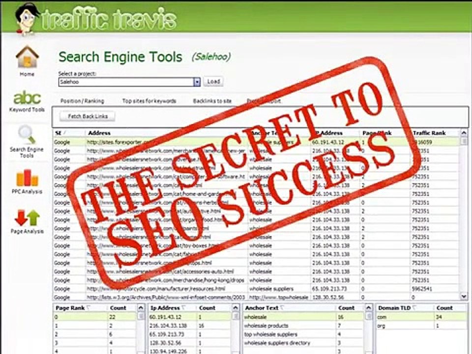 traffic travis seo magic