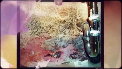 A Home Inspector Louisville Explains Mold