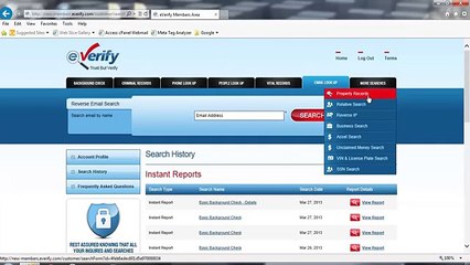 Quick and Honest Description of eVerify.com