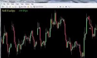 Forex Trendy Forex Signals Club Trades The Best 07 12 2013 #