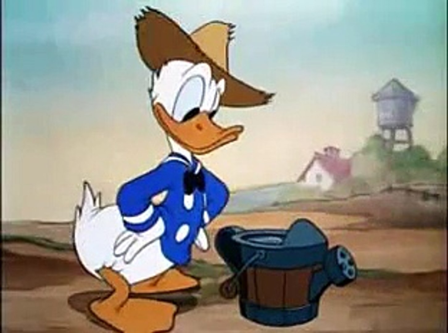 Donalds Garden - Donald Duck