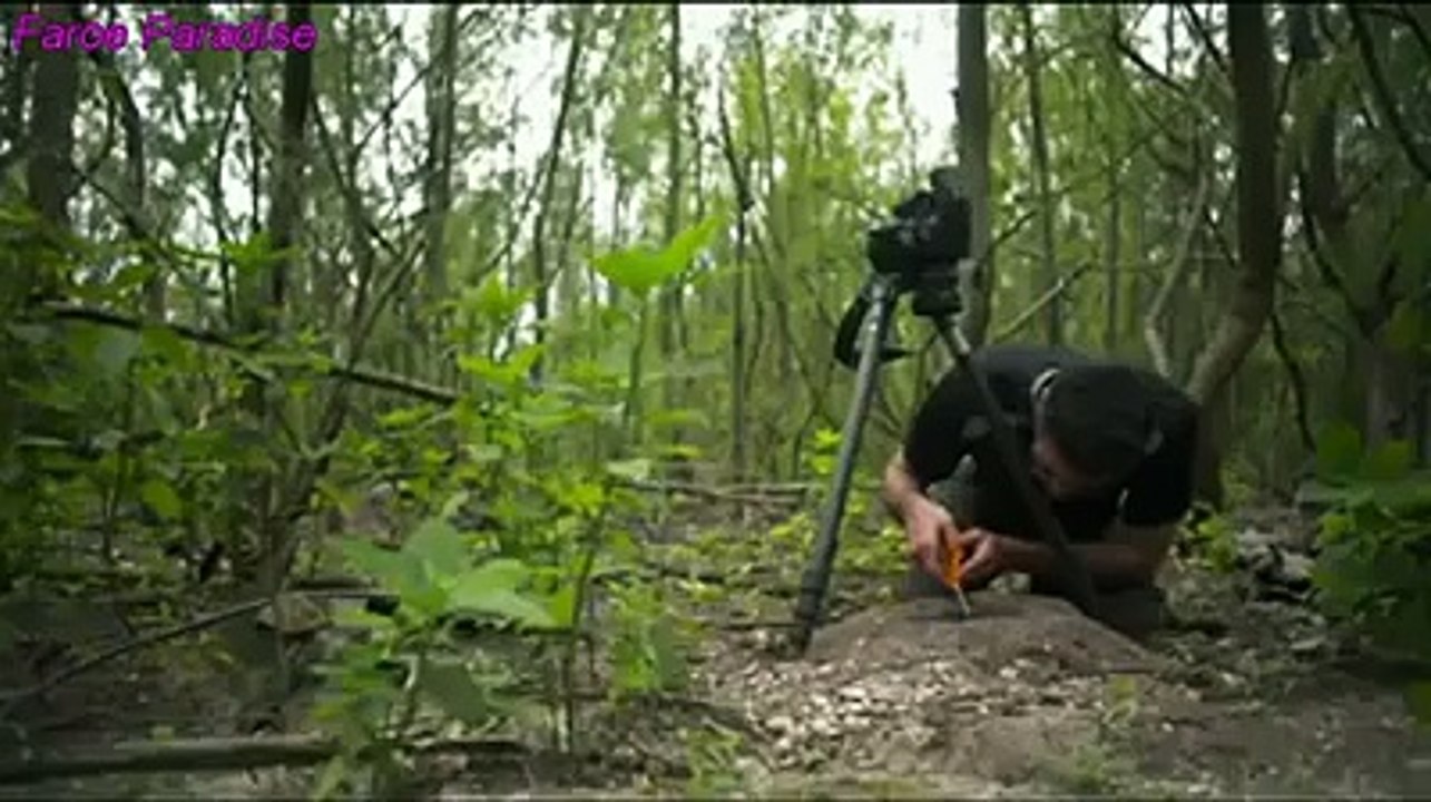 V IMPERESIVE VIDEO