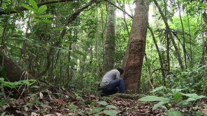 “La fábrica del amor” en medio del Amazonas