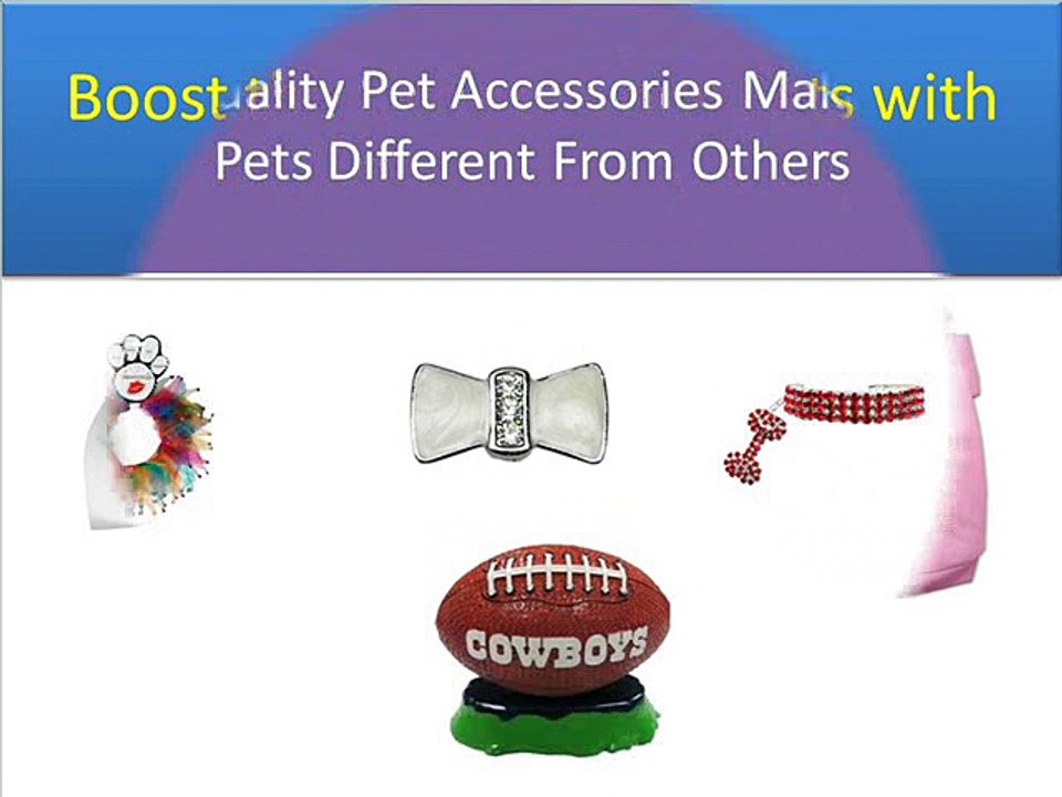 Buy Pet Accessories Online in Australia