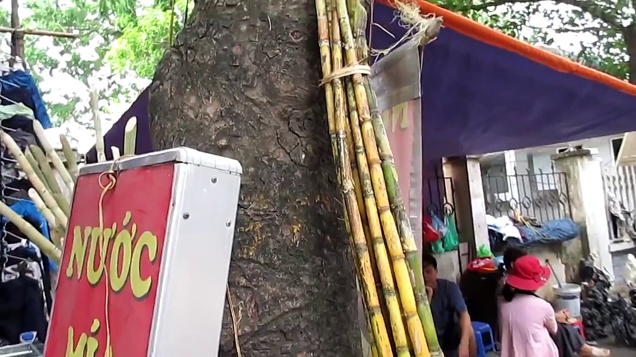 Máy ép nước mía siêu sạch, máy ép nước mía gia đình, máy ép nước mía dịch vụ