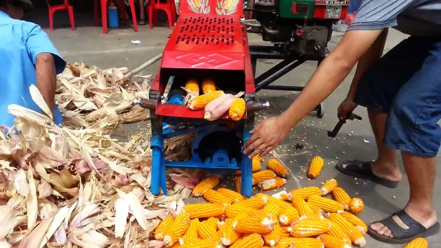 Máy bóc vỏ ngô, máy tách hạt ngô