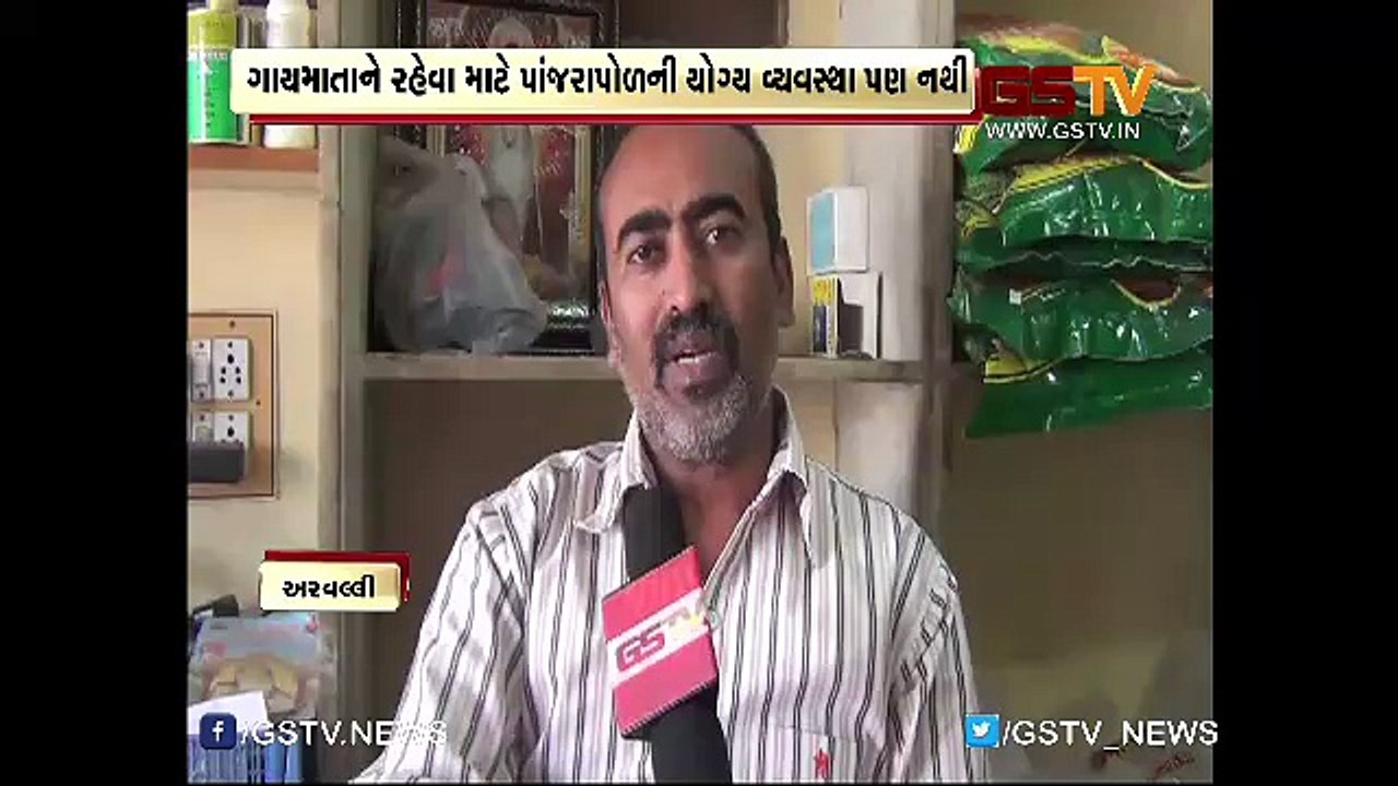 જુઓ, અરલ્લવી જીલ્લામાં કામધેનુ ગૌ માતાની કેવી છે દુર્દશા…