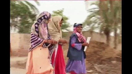 PLDDB Profile Documentry