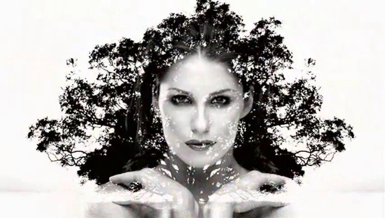 Art XIX Morphing ****