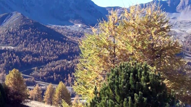 Randonnée Mont Peynier - Vars Saint Marie - 05560