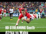 South Africa vs Wales Live Stream