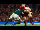 South Africa vs Wales Rugby Match