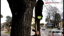 TG 28.11.14 Bari, semafori intelligenti e parcheggi informatizzati per disabili