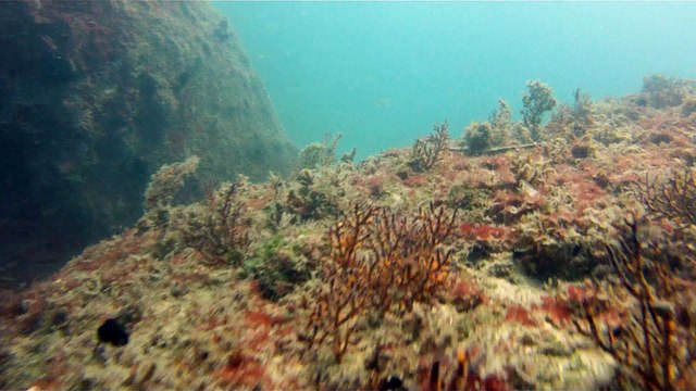 Praias, Mares, Barcos, Canoagem, Mar Aberto, Cavernas Submarinas, Mergulhos Submarinos, Picinguaba, Ubatuba, SP, Brasil, Marcelo Ambrogi, (69)