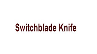 Stiletto switchblade knife for sale at Myswitchblade.com
