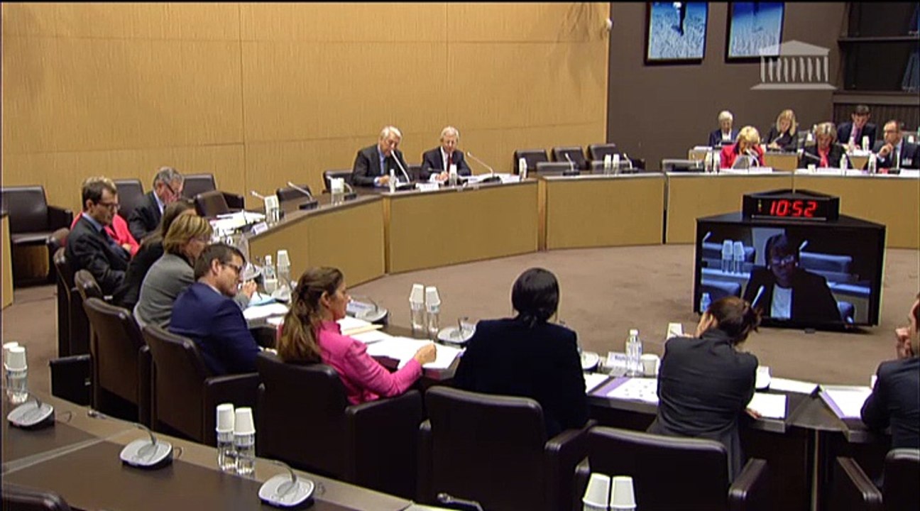 Seybah Dagoma - Mission sur l'avenir des institutions - 27 novembre 2014