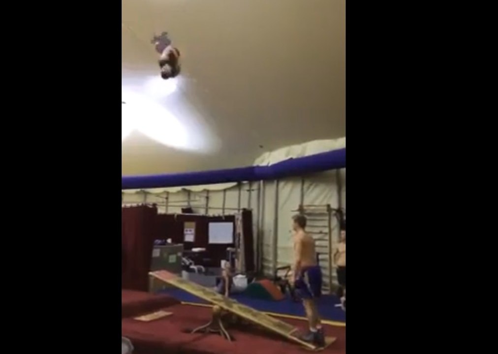 C'est gymnastes sont de vrais malades ! Très impressionnant !