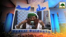 Maulana Ilyas Qadri Define About Slogan (Nara Kesay Lagain) - Madani Guldasta (635)