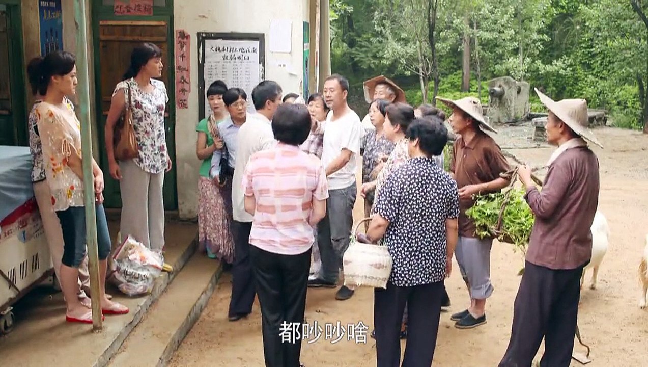 《马向阳下乡记》01主演: 吴秀波 王雅捷 李洪涛 梁爱琪