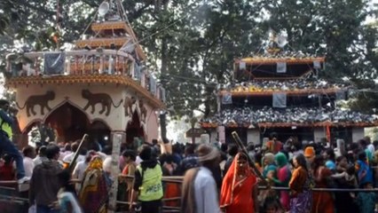 Thousands of animals sacrificed at Nepal festival