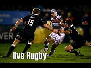 view Falcons vs Sharks Actions