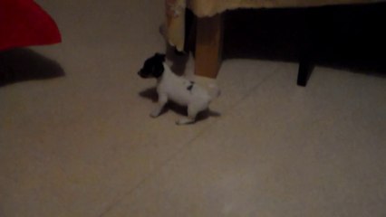 Hélios & Jeeny (5/11)