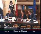 Roma - Audizione operatori ed associazioni - Rodotà (28.11.14)