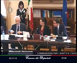 Roma - Audizione operatori ed associazioni - Rodotà (28.11.14)