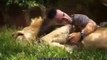 Documentary Hungry Lions National Geographic Animals, Nat Geo Wild, Discovery Channel