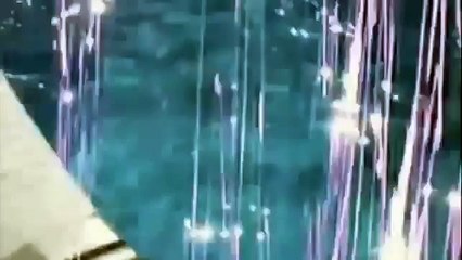 funny cats funny -Daily FuNn