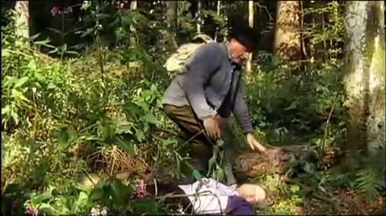 Die schönsten Momente: Die Sonnbichlers und der Bär