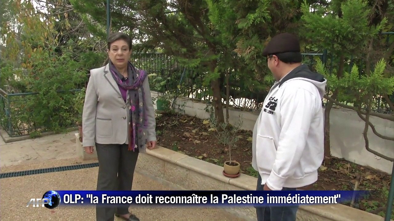 OLP: "la France doit reconnaître la Palestine immédiatement"