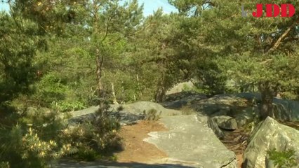 Martin Hirsch : "Mon père à créé la ville nouvelle de Cergy"